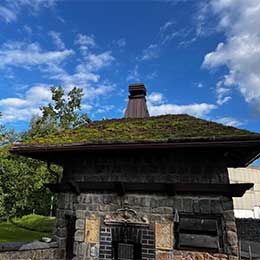 Schornstein in Kupfer Stehplatz mit Gründach